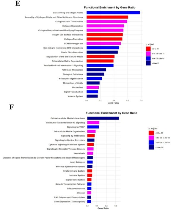 Scientific figure 6