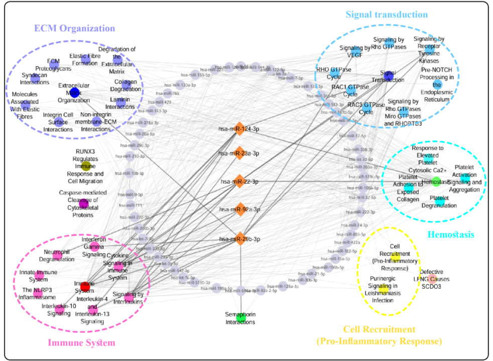 Scientific figure 7